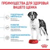 Չոր կեր շների համար «Royal Canin Giant Junior»  1կգ
