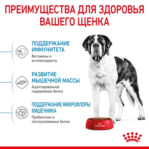 Չոր կեր շների համար «Royal Canin Giant Junior»  1կգ