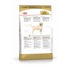 Չոր կեր շների համար «Royal Canin Labrador Retriever»  1կգ