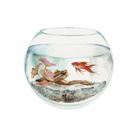 Ակվարիում մեծ