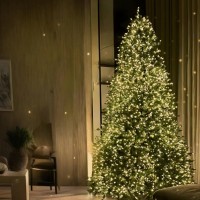 Լույս դեղին 150մ, 3000 լամպ