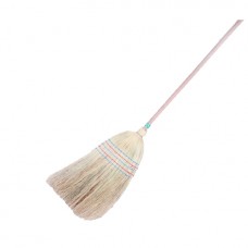 Broom with long handle